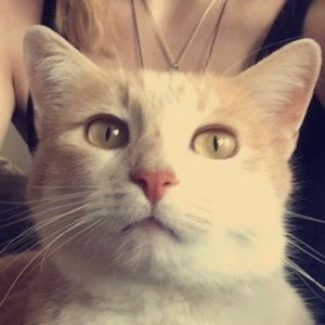 Meet your Posher, Maddie